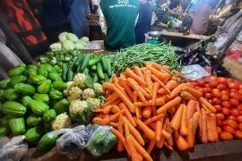 Tanjabar revitalisasi pertanian manfaatkan lahan kosong produksi pangan