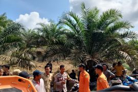 Tim SAR gabungan cari wanita parubayah hilang di hutan Desa Telak