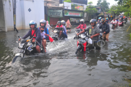 Jalan Kudus-Purwodadi masih terendam banjir Page 1 Small