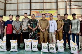 Ratusan warga Kecamatan Juai terima bantuan beras CPP tahap I