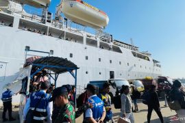 Pelni siapkan 19 kapal layani mudik gratis Kemenhub