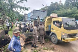 BPBD sebut empat titik Kota Jayapura tergenang air saat hujan deras