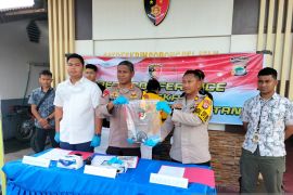 Polres Sorsel tangkap pengusaha bersama truk bermuatan kayu merbau