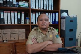 Belitung awasi peredaran beras oplosan