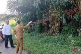 Bupati minta Dinas PUPR Bangka Tengah atasi titik banjir dalam kota