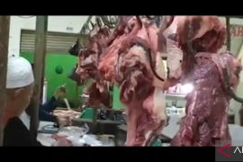 Pemkab Bangka Tengah siapkan 200 sapi untuk Idul Fitri