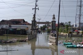 Warga Demak mulai pulang saat banjir mulai surut