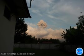 Gunung Ibu erupsi lontarkan abu vulkanik setinggi 2,5 kilometer