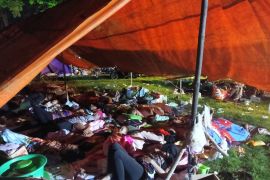 Gusdurian ajak semua elemen turut bantu masyarakat terdampak gempa Bawean