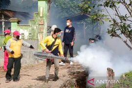 Dinkes Kotabaru cegah penyebaran DBD di Sebelimbingan