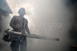 Komisi IX meminta giatkan edukasi kesehatan publik atasi DBD