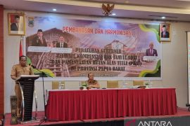 Papua Barat bahas kompensasi pemanfaatan hutan bagi masyarakat adat