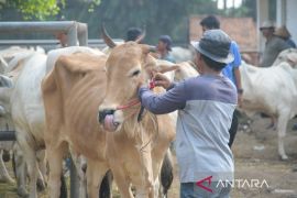 Tim Kesehatan hewan Purwakarta disebar jelang lebaran