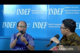 Indef: Pemerintahan baru diminta optimalkan sektor pangan