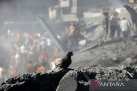 Bantuan militer AS ke Israel sama dengan bunuh ribuan warga Palestina