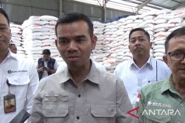 Bapanas jamin ketersediaan beras SPHP di Bali cukup buat Lebaran