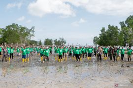 Pertamina EP Bunyu field tanam 1.000 bibit mangrove untuk cegah abrasi