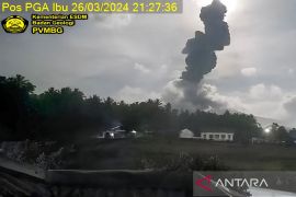 Gunung Ibu kembali erupsi muntahkan abu vulkanik setinggi 2.000 meter