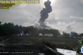 Gunung Ibu Halmahera semburkan abu vulkanik setinggi 2.000 meter