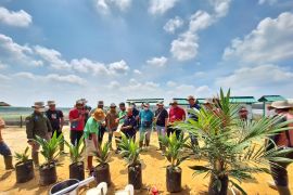 Strategi BSI wujudkan NZE lewat program mitra plasma sawit