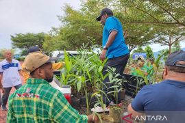 Papua Barat susun tujuh program pengurangan emisi gas rumah kaca