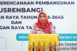 Pemkab Nagan Raya susun rencana pembangunan jangka panjang 2025-2045