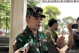 Kapuspen TNI: Tindakan OPM kepada Danramil Aradide pelanggaran HAM berat