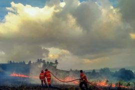 BPBD Natuna: Sampai bulan Maret 2024 luas karhutla capai 424 hektare