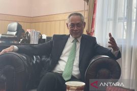 Dubes Jose nilai Rusia mitra tepat untuk kembangkan PLTN di Indonesia