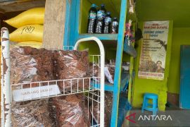 Diskop UMKM: Sari buah merah oleh-oleh khas dari Mimika