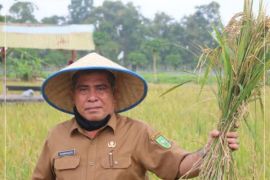 Riau peroleh tambahan alokasi pupuk 9.751 ton pada 2024