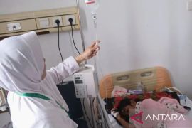 Kasus DBD di Karawang mencapai lebih dari 400 kasus