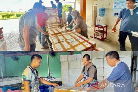 Karantina Kalsel sertifikasi 27.900 belut ekspor ke Tiongkok