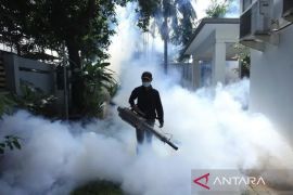 Kemenkes deteksi peningkatan Dengue hampir tiga kali lipat bulan ini