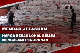 Mendag jelaskan harga beras lokal belum mengalami penurunan