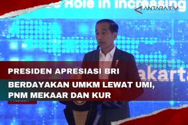 Presiden apresiasi BRI berdayakan UMKM lewat UMi, PNM Mekaar dan KUR