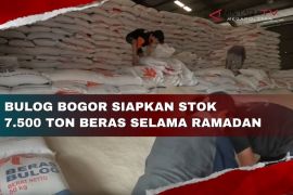 Bulog Bogor siapkan stok 7.500 ton beras selama Ramadhan