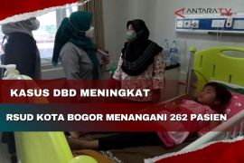 Kasus DBD meningkat, RSUD Kota Bogor menangani 262 pasien