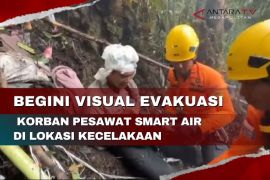 Begini visual evakuasi korban pesawat Smart Air di Lokoaui kecelakaan