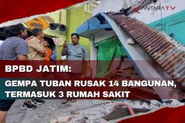 BPBD Jatim: Gempa Tuban rusak 14 bangunan termasuk 3 rumah sakit
