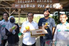 Pj Gubernur: Petani Kaltim minim lakukan  hilirasi produk pertanian