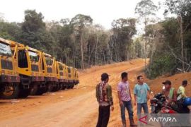 Jalan Hauling PT MCM belum kantongi IPPKH