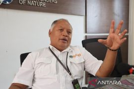 Kepala Balai TNK sebut kesehatan korban gigitan Komodo membaik