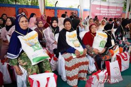 Bapanas sebut 800 KPM terima bantuan pangan beras 10 kg di Merangin