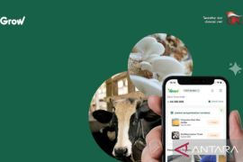 TWP90 capai 81,18 persen, OJK pantau ketat action plan fintech iGrow