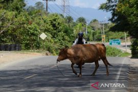 FOTO - Mudik kendaraan pribadi di Aceh
