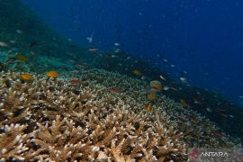 Jaga kelestarian, Kuota wisata di kawasan konservasi nasional kini diatur