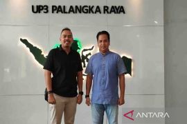 PLN Palangka Raya siagakan 227 personel pastikan keandalan kelistrikan