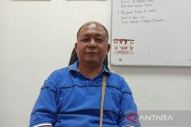 Kepiting dan udang dari Mimika tembus pasar nasional