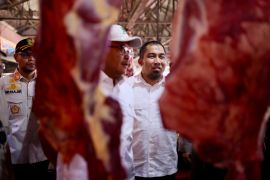 Persediaan hewan ternak "meugang" Idul Fitri capai 2.539 ekor